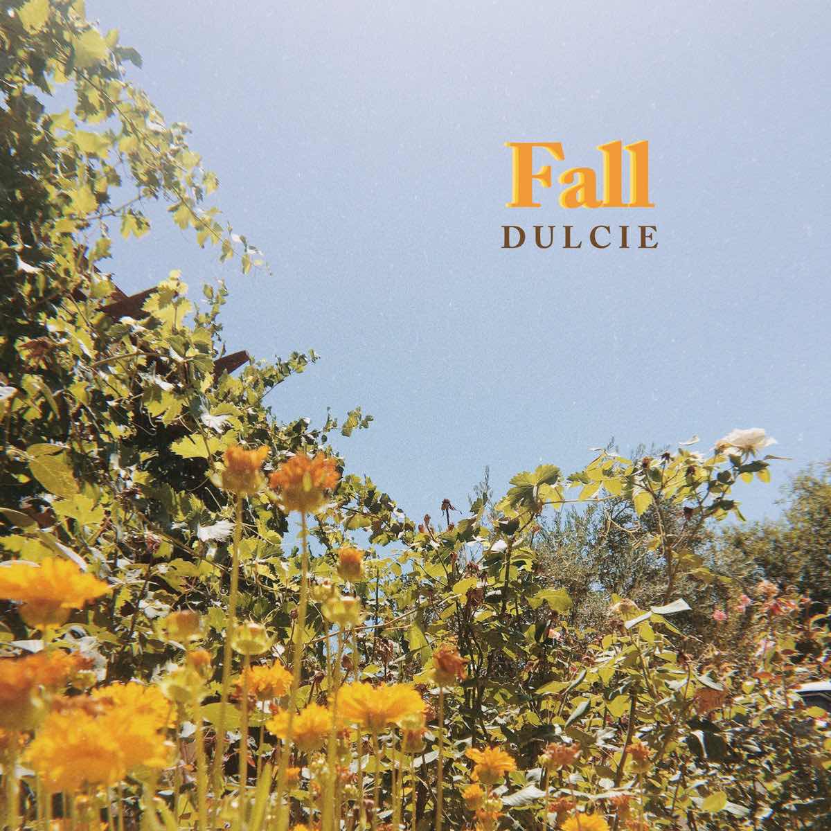 Dulcie - Fall